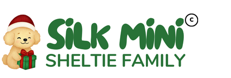 Radiant Sheltie Puppies